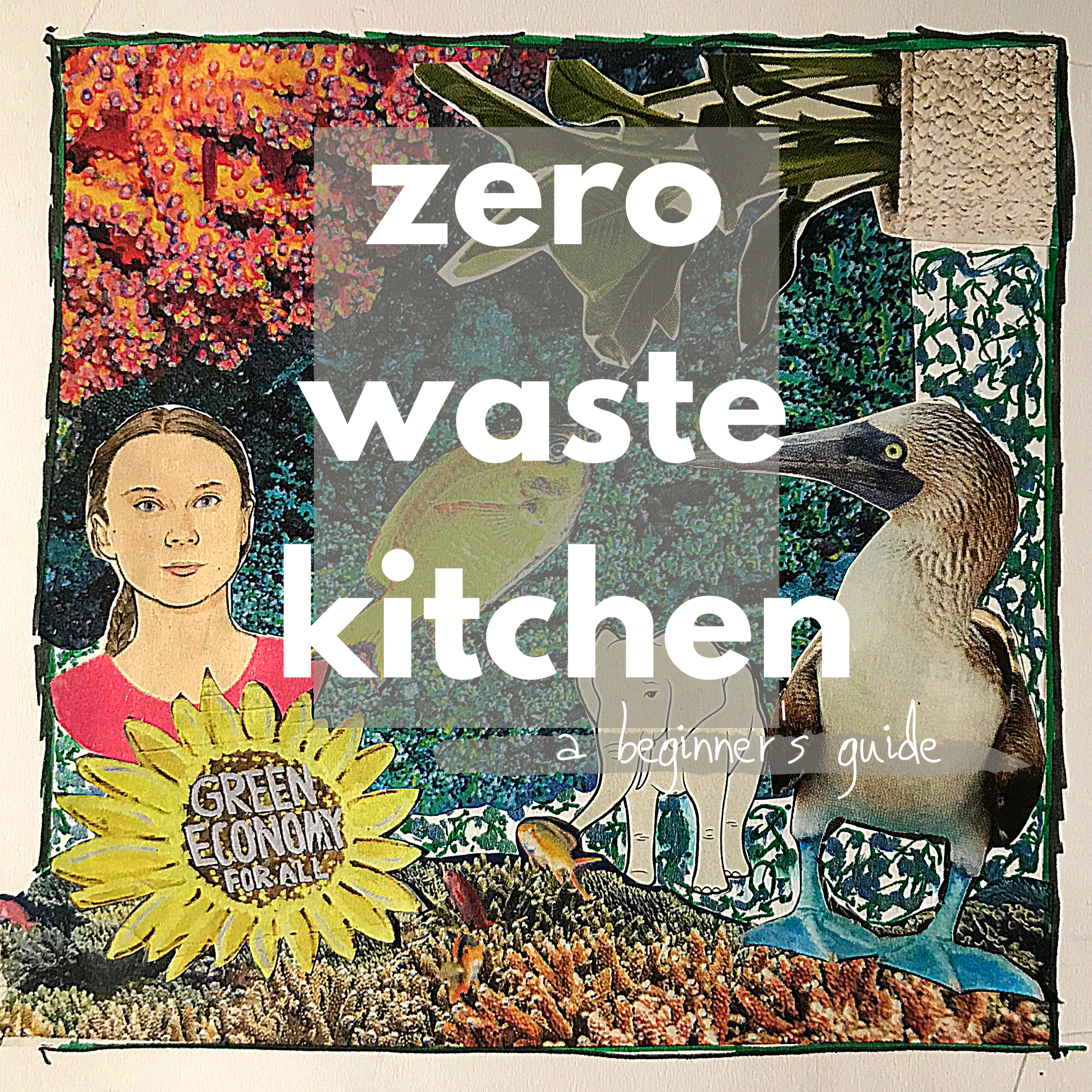 Zero Waste Kitchen – A Beginner’s Guide to Reducing Waste | Lifestyle