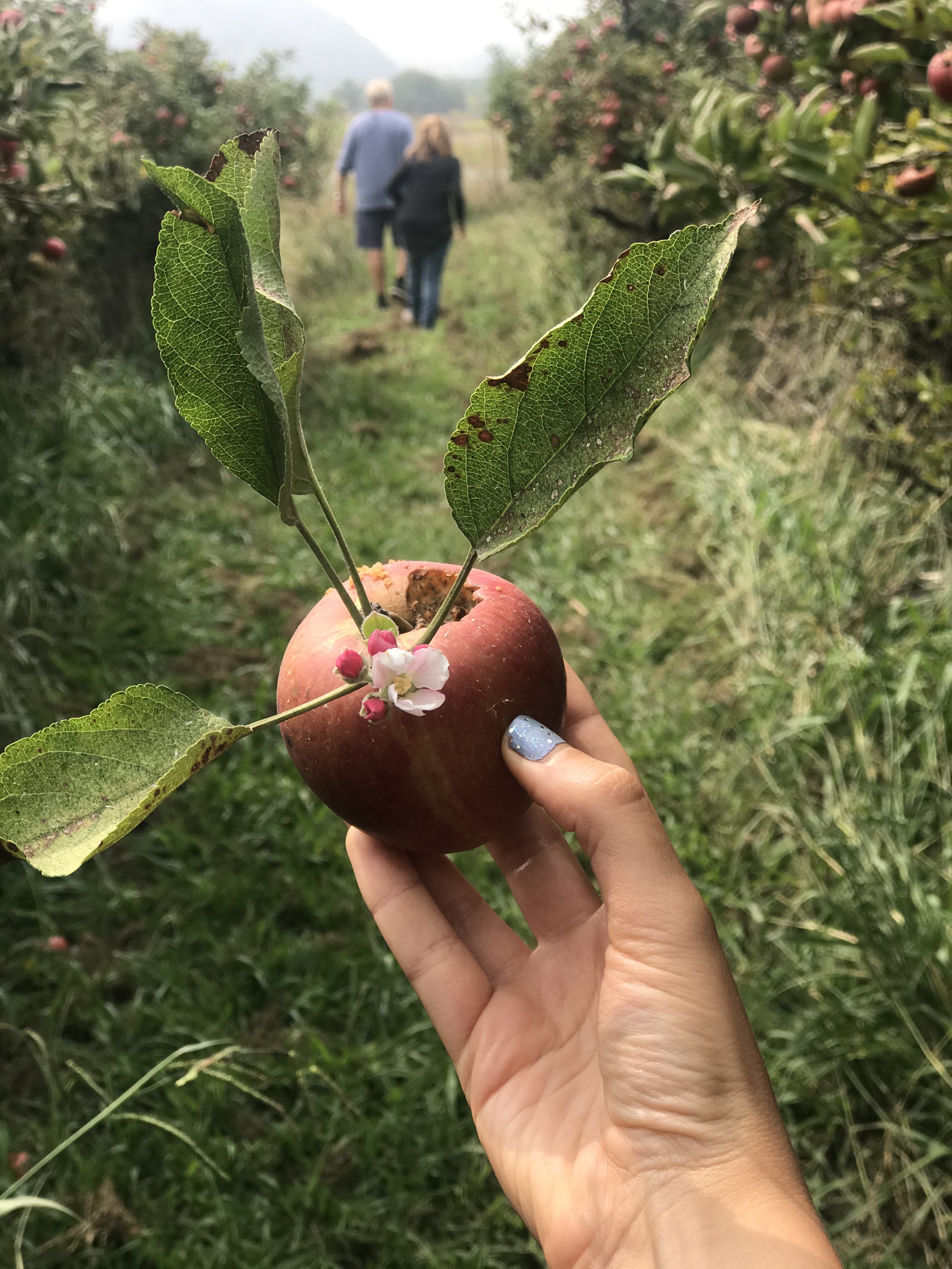 SLO Creek Farm | Activity in San Luis Obispo