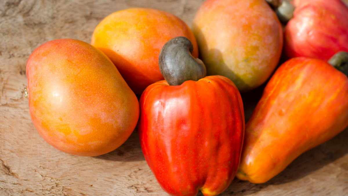 What is a Cashew Apple? The Cashew Counterpart Explained